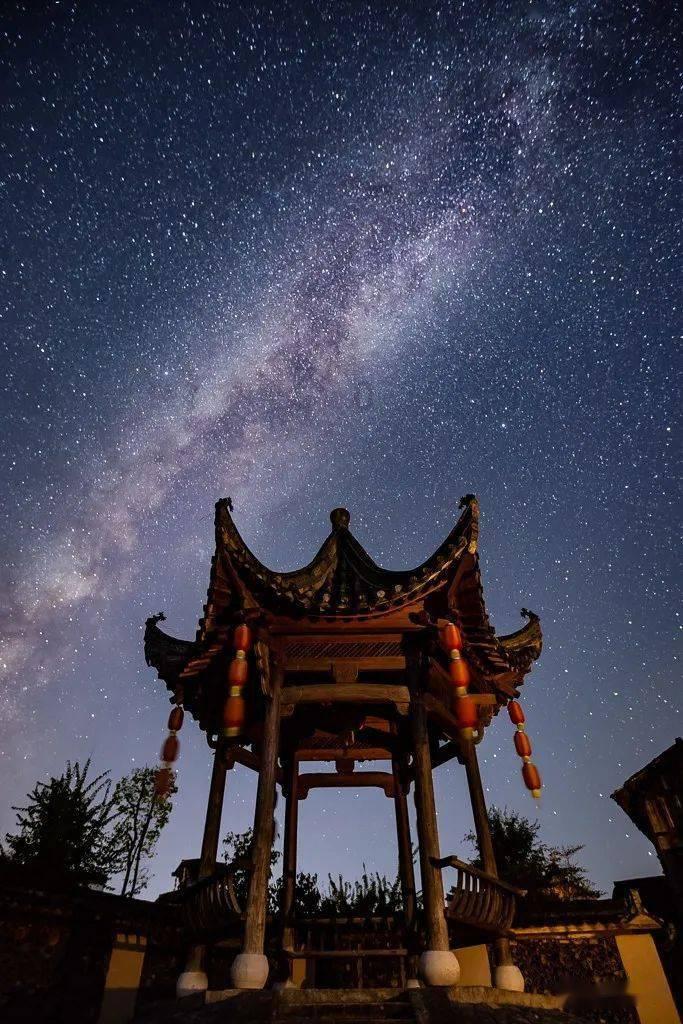 美人鱼的聚会